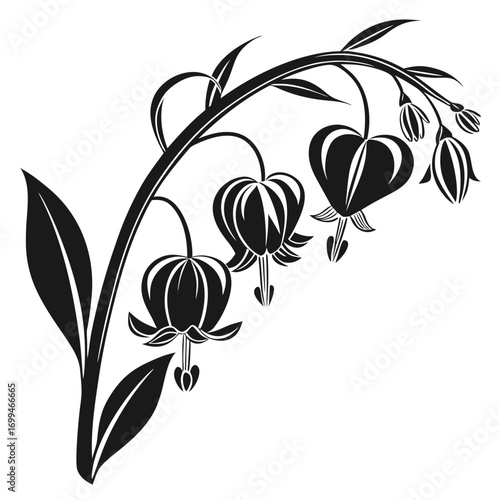 Stylized black and white bleeding heart flower silhouette