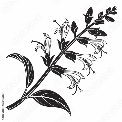 Black and white silhouette of a flowering plant with leaves