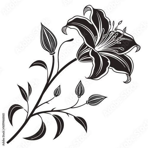 Elegant black and white lily flower silhouette with buds
