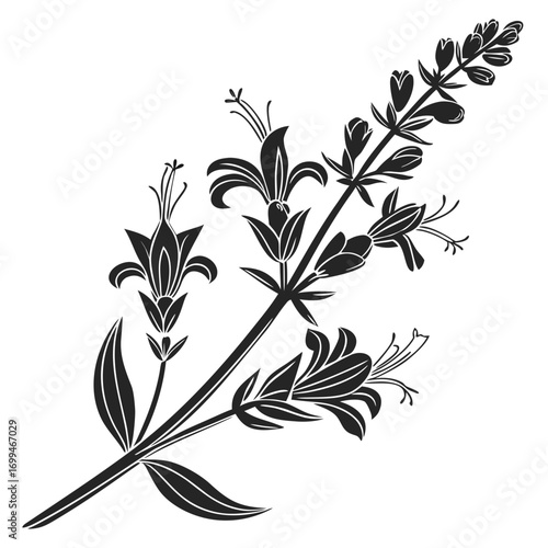Black silhouette of a flowering plant with delicate petals and leaves