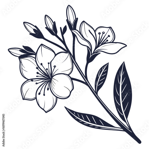 Elegant dark blue floral branch with blooming flowers and buds