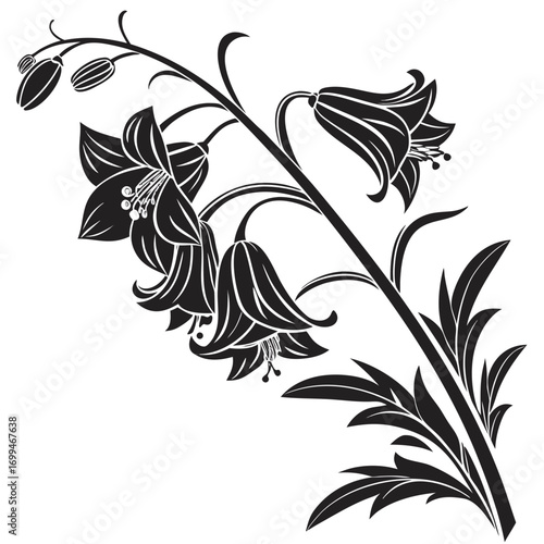 Elegant black and white illustration of bell flowers and buds on a stem