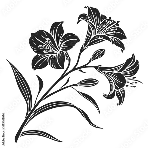 Elegant black and white floral illustration of lilies and buds