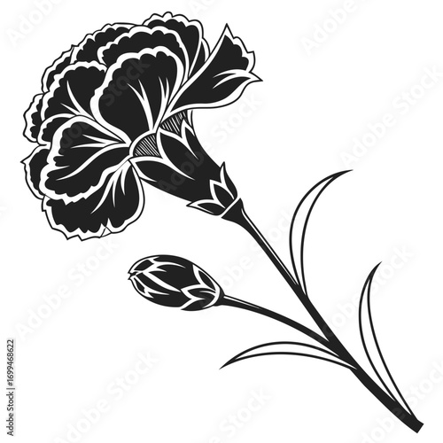 Black and white illustration of a carnation flower and bud