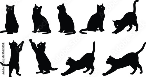 Black Cat Silhouette Vector Collection Featuring Various Poses Such as Sitting, Playing, Stretching, Walking, Standing, and Looking Up
