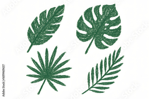 Botanical Collection: An illustrative ensemble of tropical leaves, captured from a high-angle perspective. Each leaf showcases unique textures and shapes, evoking a sense of natural beauty.