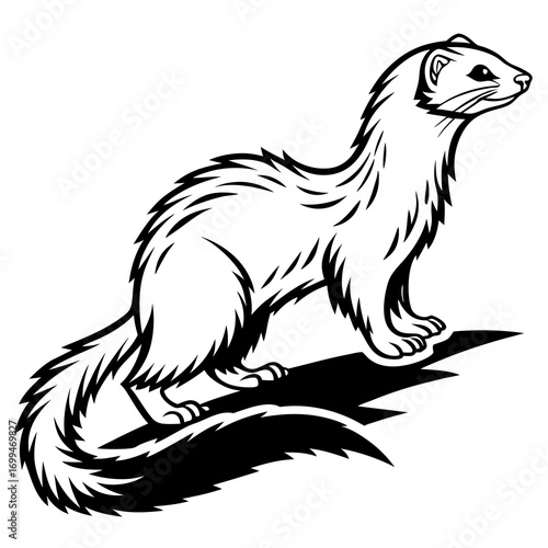 Black and white illustration of a standing ferret with a shadow