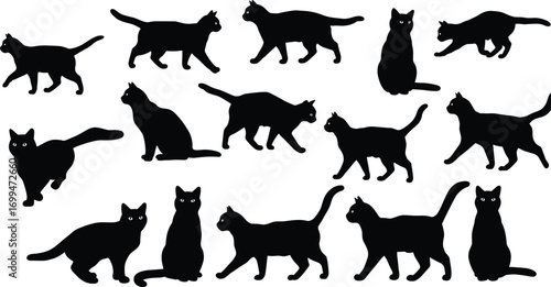 Black cat silhouettes in various poses including walking, sitting, standing, and playing with detailed eyes vector illustration set.