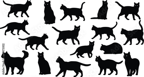 Black cat silhouettes in various poses including walking, sitting, standing, and lying down with detailed eyes vector illustration.Black cat silhouettes 