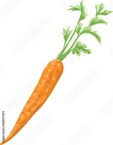 carrot fruit botanical digital painting
