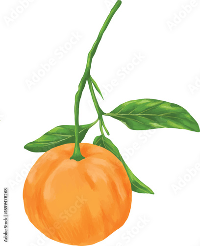 tangerine orange fruit botanical digital painting