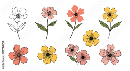 A collection of delicate hand drawn floral illustrations featuring soft color palettes and botanical elements