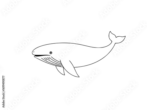 fish vector illustration
