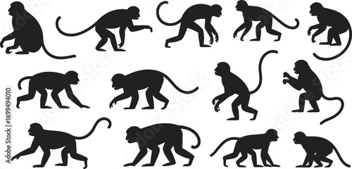 Monkey silhouettes in various poses, walking, sitting, crouching, isolated on white background, wild animal vector illustration, jungle wildlife concept