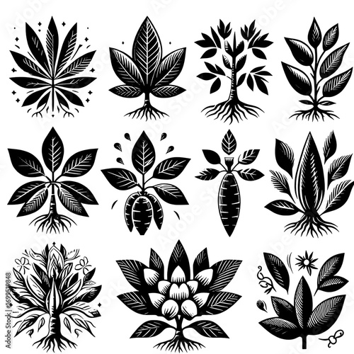 Collection of stylized black and white plant illustrations with visible root systems shown clearly