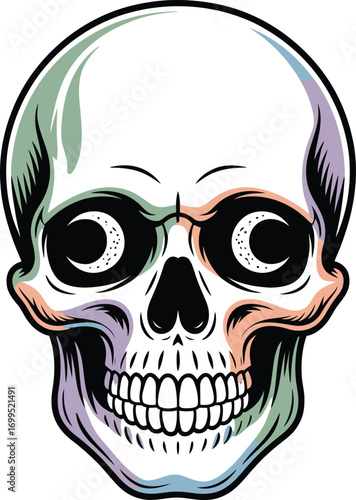 Stylized human skull with pastel color accents head