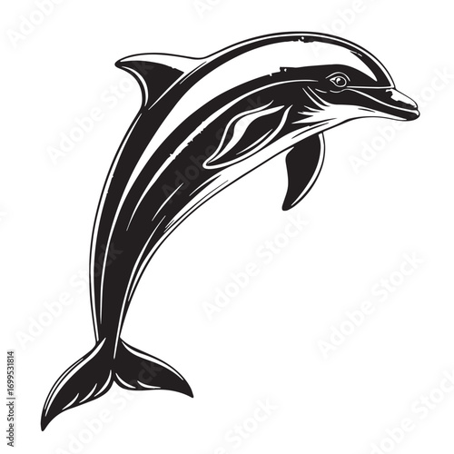 Black chilean dolphin Silhouette Vector, High Quality Illustration on White Background