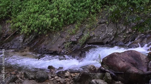 Stream in the rainforest of northern Thailand.