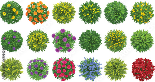 Top view flowering plants and shrubs vector set, colorful garden design symbols, landscape architecture elements, ornamental vegetation icons, CAD drawing flat vector illustration