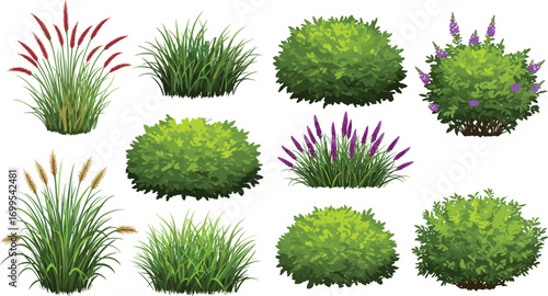 Decorative garden bushes and grass set, realistic green shrub vector, floral plant collection, landscape design elements, cad drawing flat vector illustration