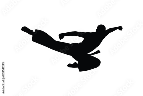 Dynamic martial arts silhouette of a person kicking karate action