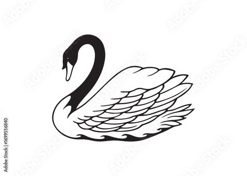Elegant Black and White Swan Line Art Illustration, Serene Waterfowl Design, Graceful Aquatic Bird