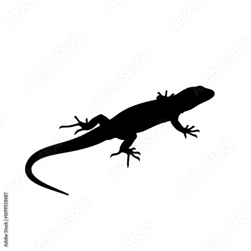 Black lizard silhouette isolated on white background