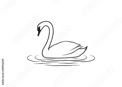 Elegant Black and White Swan Line Art Illustration, Serene Waterfowl Design, Graceful Aquatic Bird