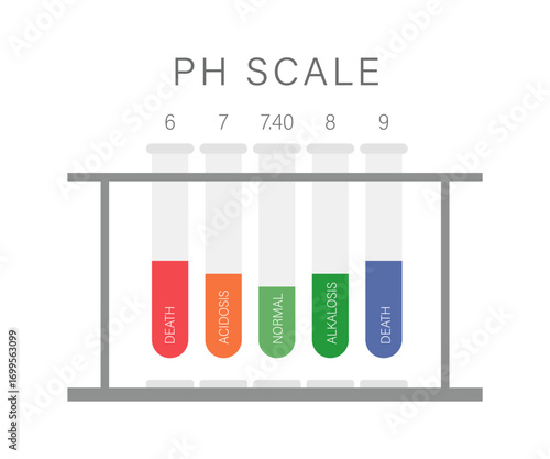 Ph blood scale. Normal human blood ph Level. Health care concept. Flat Vector illustration.