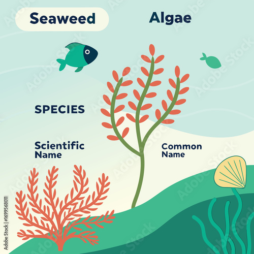 Aquatic flora and fauna illustration: An eye-catching illustration featuring various species of seaweed, algae, and aquatic life.