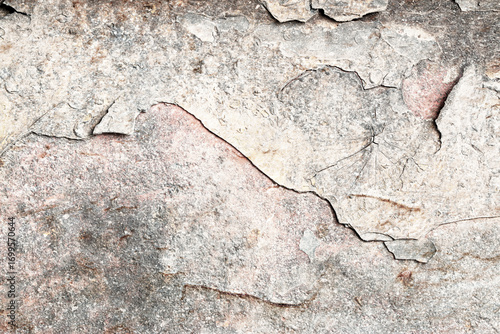 Light Gray Stucco Wall Texture. Abstract Background