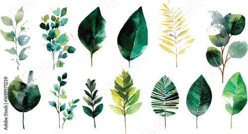 Green leaves of blueberry Green Leaves Frame on White Background Watercolor green leaves border with white background for text.

