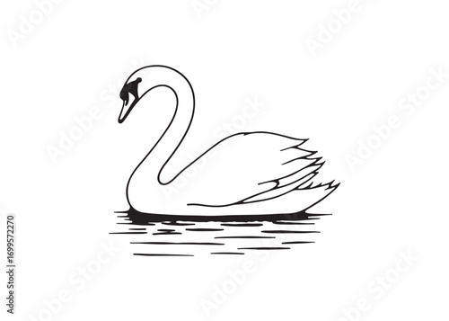 Elegant Black and White Swan Line Art Illustration, Serene Waterfowl Design, Graceful Aquatic Bird