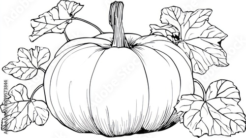 Ink drawing of a pumpkin surrounded by leaves