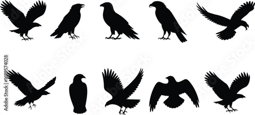  Collection of eagle and hawk silhouette vector illustrations, flying and standing bird of prey designs, wildlife art set, raptor decorative graphic elements