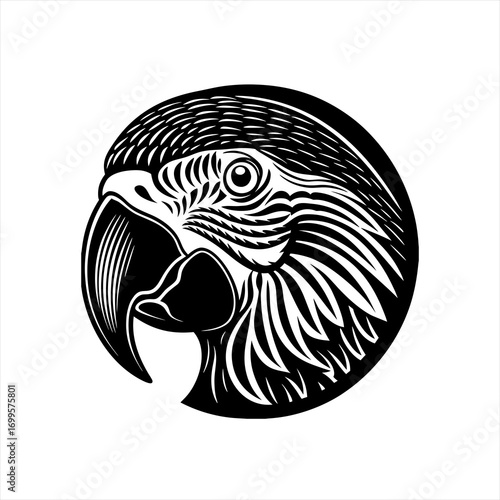 Stylized Black and White Macaw Parrot Head Illustration.