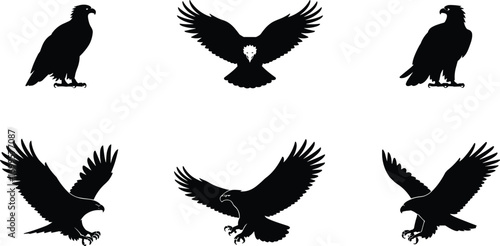  Majestic eagle silhouette collection, flying eagle vector set, powerful bird of prey illustrations, hunting eagle graphic design, raptor wildlife symbols, isolated