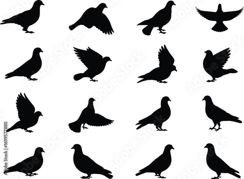 Pigeon dove silhouette vector collection, flying and standing birds set, peace symbol illustration, urban wildlife design, flock of pigeons isolated graphic elements