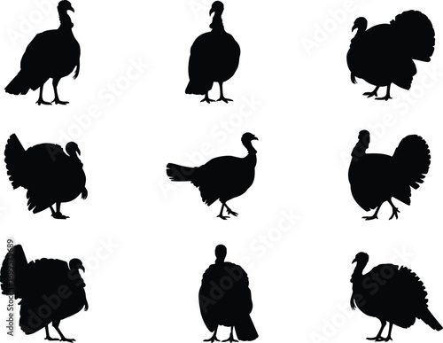 Turkey bird silhouettes collection, farm animal illustration, wild turkey vector design, Thanksgiving holiday symbol, poultry farming graphic, black turkey shape artwork for decoration