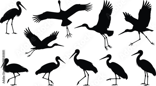 Silhouette of flying and standing stork birds, wildlife nature, water birds, migratory birds, feathered animals, flying birds collection, vector illustration