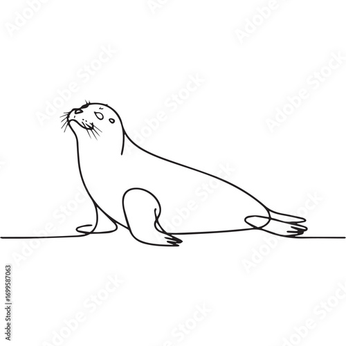 Simple black line art drawing of a Seal in a minimalist style on a white background.