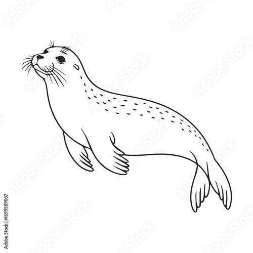 Simple black line art drawing of a Seal in a minimalist style on a white background.