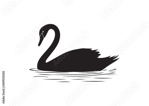 Black and White Swan, Serene Waterfowl Design, Graceful Aquatic Bird