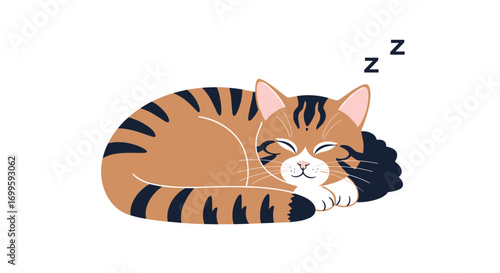 Adorable tabby cat sleeping peacefully in a curl peaceful feline dreams and gentle slumber illustrations