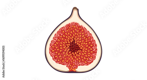 Fresh ripe fig cut open revealing its juicy interior full of tiny seeds and sweet flesh healthy delicious organic fruit