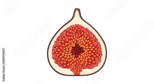 Juicy ripe fig cut in half revealing edible seeds and sweet pulp texture healthy food organic fruit illustration