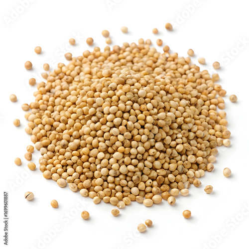 Loose barnyard millet grains, known for their high nutritional value, gluten-free nature, and use in healthy