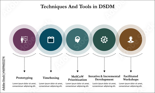 Tools and techniques in DSDM. Infographic template with icons and description placeholder