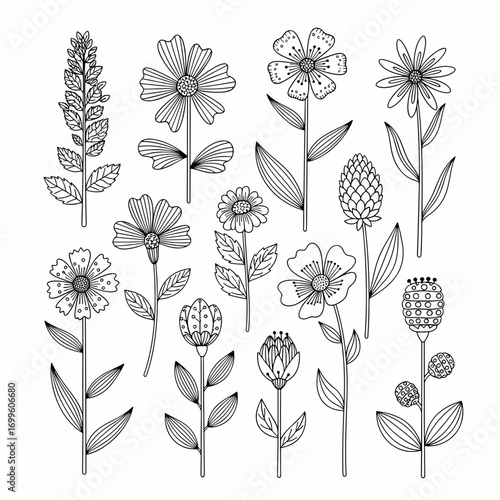 Collection of Hand-Drawn Botanical Wildflowers and Plants Line Art