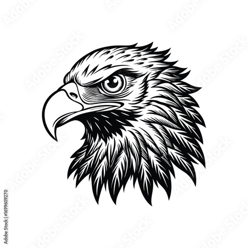 Eagle head silhouette, eagle head logotype